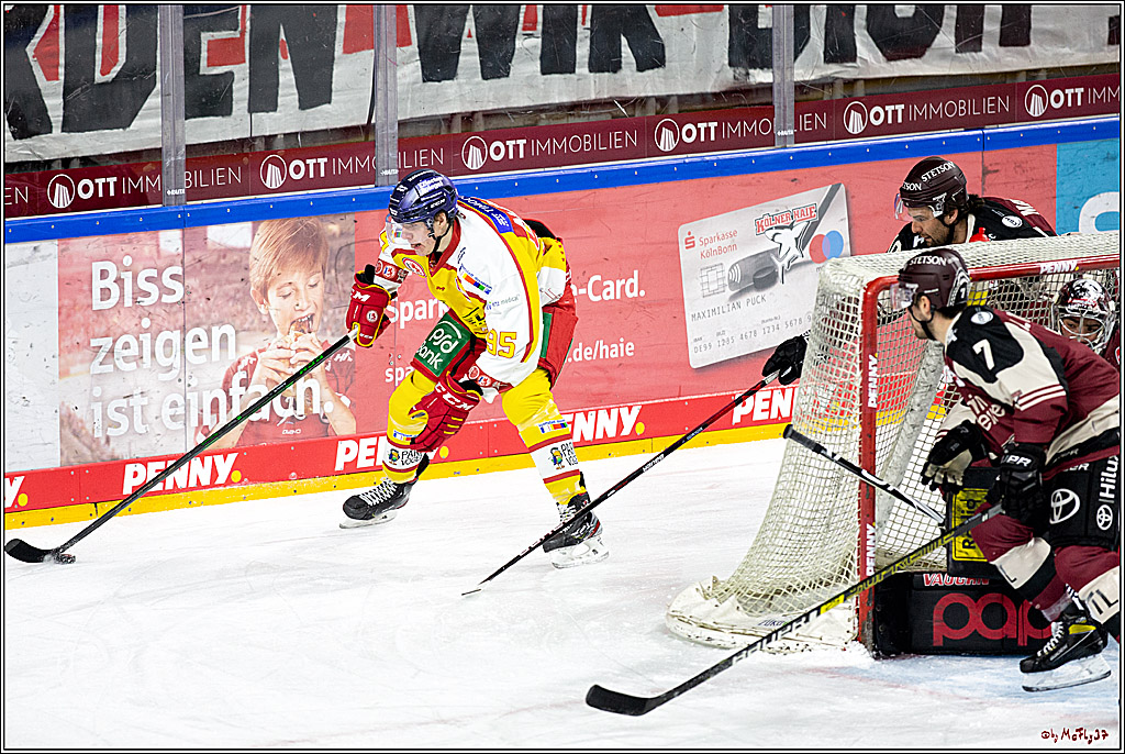 PENNY DEL;  Koelner Haie - Duesselorfer EG; Koeln, 21.01.2021